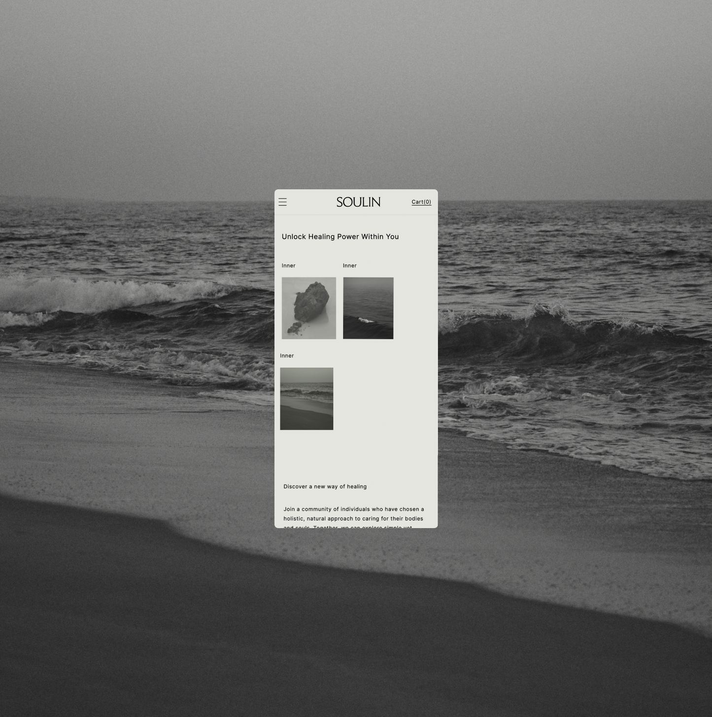 SOULIN Minimal E-commerce Shopify Theme